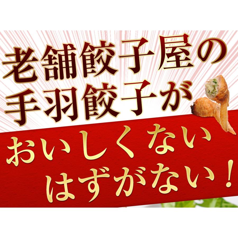 手羽餃子10本手羽先 ギフト 贈り物 アンタッチャブルのがむしゃらグルメ団 日本一うまい餃子調査