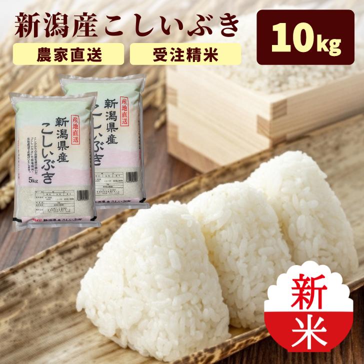 新米 5年産 新潟産 こしいぶき 10kg 5kg×2袋 受注精米 お歳暮 冷めてもおいしい 新潟県産 米 白米 精米 減農薬 農家 直送 生産者 備蓄 ギフト 内祝