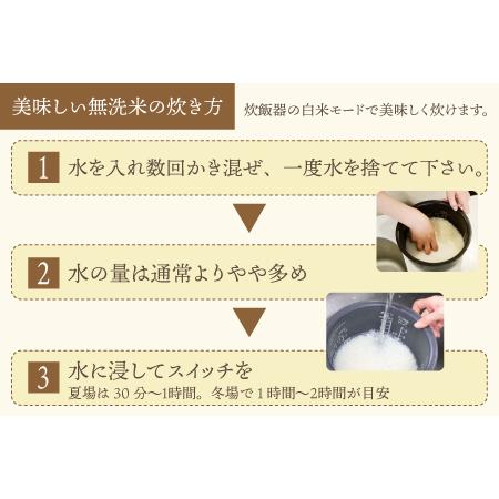 ふるさと納税 定期便12回 いちほまれ 無洗米 5kg×12回（60kg）《お米マイスターが発送直前に精米！》／ 福井県産 ブランド.. 福井県あわら市