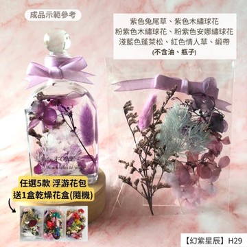 【A-ONE】浮游花DIY花材包 乾燥植物果實 拍照道具花藝花材包 浮游花 永生花 浮油花 乾花 乾燥花材 H29幻紫星辰