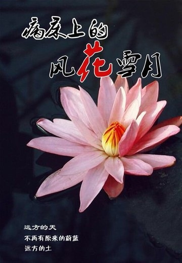 【電子書】病床上的风花雪月