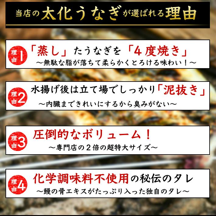 国産 蒲焼き 特大うなぎ メガ盛り ハーフカット 約1,2kg 10人前以上