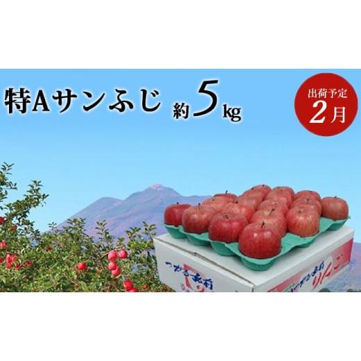 ふるさと納税 青森県 弘前市 2月発送 特A サンふじ 約5kg 