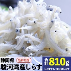 静岡県駿河湾産　しらす干し120g×3・釜上げしらす150g×3