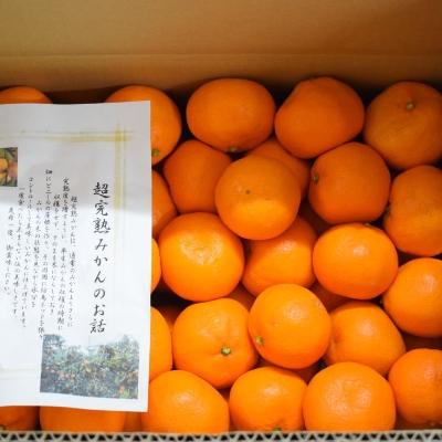 ふるさと納税 有田川町 有田産樹上越冬完熟みかん約5kg(2S〜Mサイズ混合・秀品)