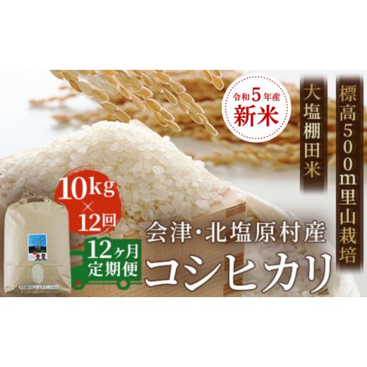 ふるさと納税 福島県 北塩原村 会津・北塩原村産「コシヒカリ」10kg×12回お届け(大塩棚田米・標高500ｍ里山栽培） ふるさと納税 コシヒカリ …