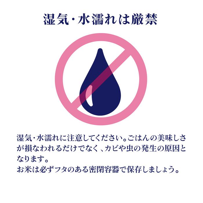 米 2kg 送料無料 白米 こしひかり 但馬村岡米 令和五年産 兵庫県産 2Kg お米 玄米 ごはん 特別栽培米 減農薬減化学肥料米 無農薬 一等米 単一原料米 分付き