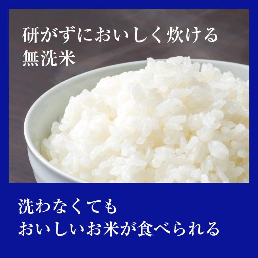 お米 ごはん白米 無洗米 5kg 5キロ 新潟県産 こしいぶき コシイブキ 令和5年産