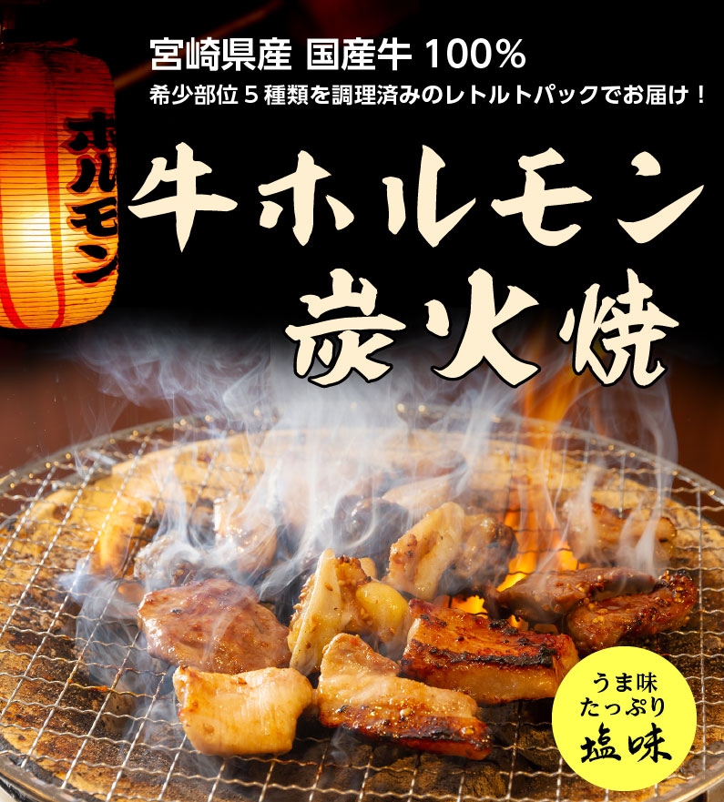 新発売 牛ホルモン 炭火焼 20袋 宮崎県産 国産牛100％ レトルト ミックスホルモン おつまみ お正月 簡単調理 湯せん 常温便