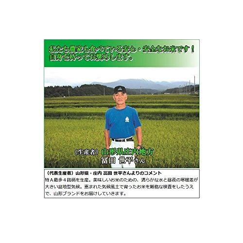  お米 つや姫 5kg 山形県産 庄内産 令和4年産 5分づき 特別栽培米 13年連続特A