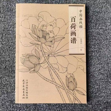 百荷畫譜中國畫線描工筆劃底稿白描花卉荷花圖集百花畫譜