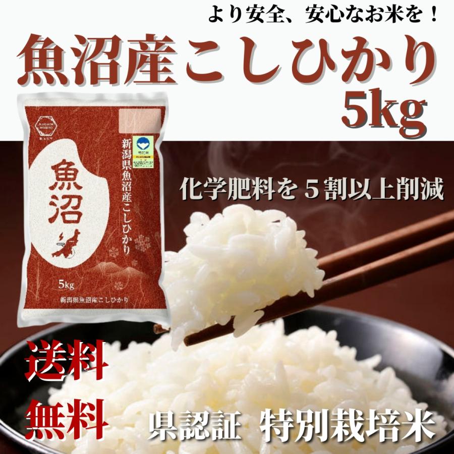 新米 令和５年産 お米 5kg 白米 送料無料 新潟県認証 特別栽培米 魚沼産 コシヒカリ 精米 贈り物 ギフト