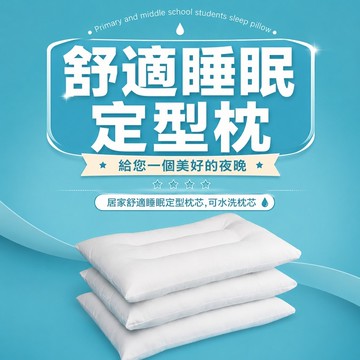 舒適睡眠 枕頭 枕芯 睡眠枕 枕頭芯 睡枕 人體工學枕頭 宿舍枕頭 學生枕頭 可水洗枕芯 頸椎支撐枕 回彈枕頭 白色枕頭