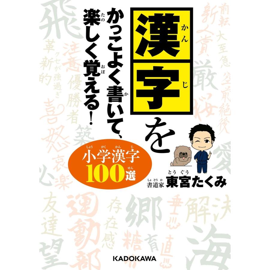 漢字をかっこよく書いて,楽しく覚える 小学漢字100選