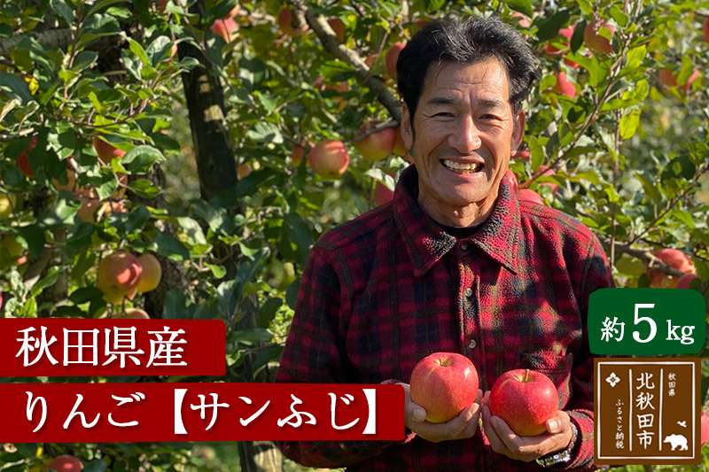 秋田県産 サンふじ りんご 約5kg （ご家庭用）リンゴ|ymdn-010501