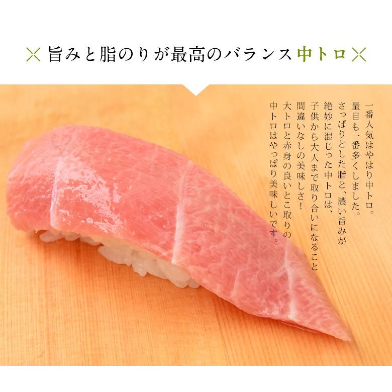 マグロ 鮪 まぐろ 天然南マグロ (インドマグロ) 大トロ・中トロ・赤身 合計1kg 鮨屋が使う上物をお届け！ 送料無料 ※冷凍