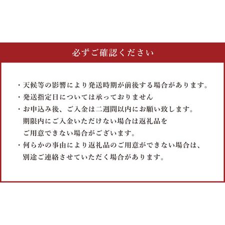 ふるさと納税 シルクスイート 約3kg 熊本県菊陽町