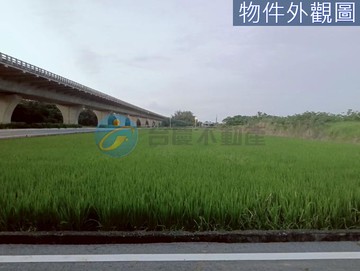 新屋莫內咖啡旁一般農｜桃園市新屋區蚵殼港