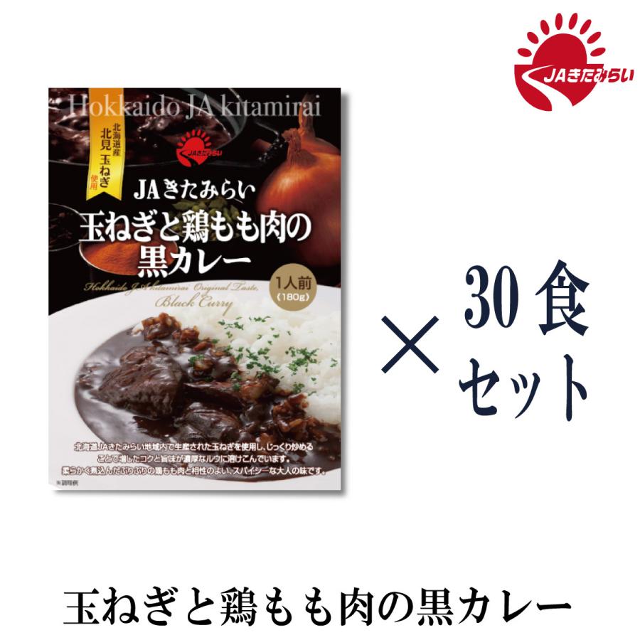 玉ねぎと鶏もも肉の黒カレー　30個入り　180g×30個　レトルトパック　JAきたみらい　送料無料