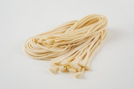 手延べうどん 半生タイプ 10袋入り