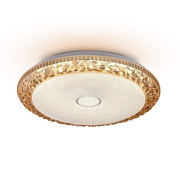 72W 單色吸頂燈 L01-2341B