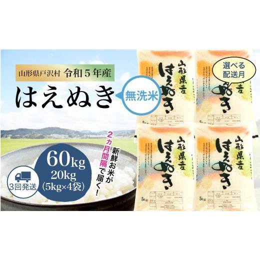 令和5年産＞ 鮭川村 はえぬき 定期便 60kg （10kg×1ヶ月間隔で6回お