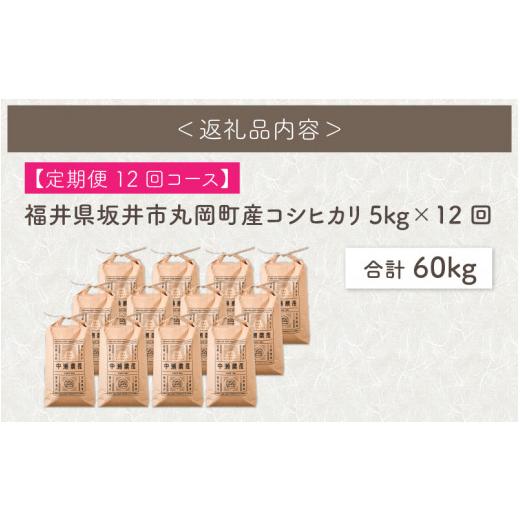 ふるさと納税 福井県 坂井市 福井県坂井市丸岡町産 コシヒカリ5kg×12回 計60kg（無洗米）  [I-11301_01]