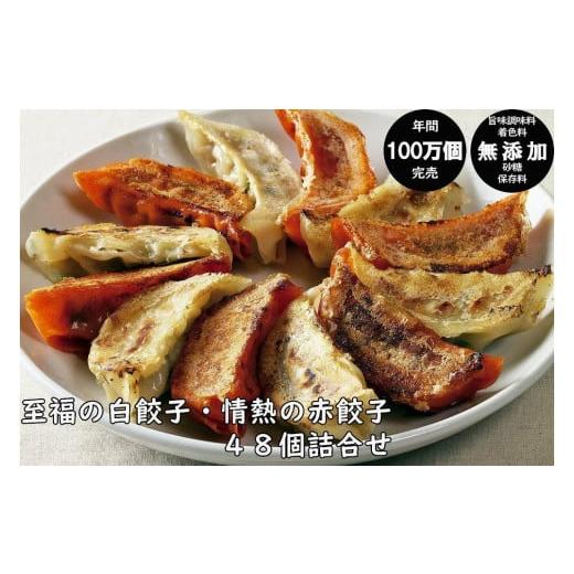 ふるさと納税 秋田県 秋田市 年間100万個完売！餃子の餃天