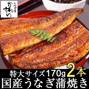 国産 うなぎ 蒲焼き 特大170g×2本  タレ付き 山椒別売り お取り寄せ グルメ 超特大 人気 自宅 おうちで 贅沢 ギフト 贈り物 御礼 御祝