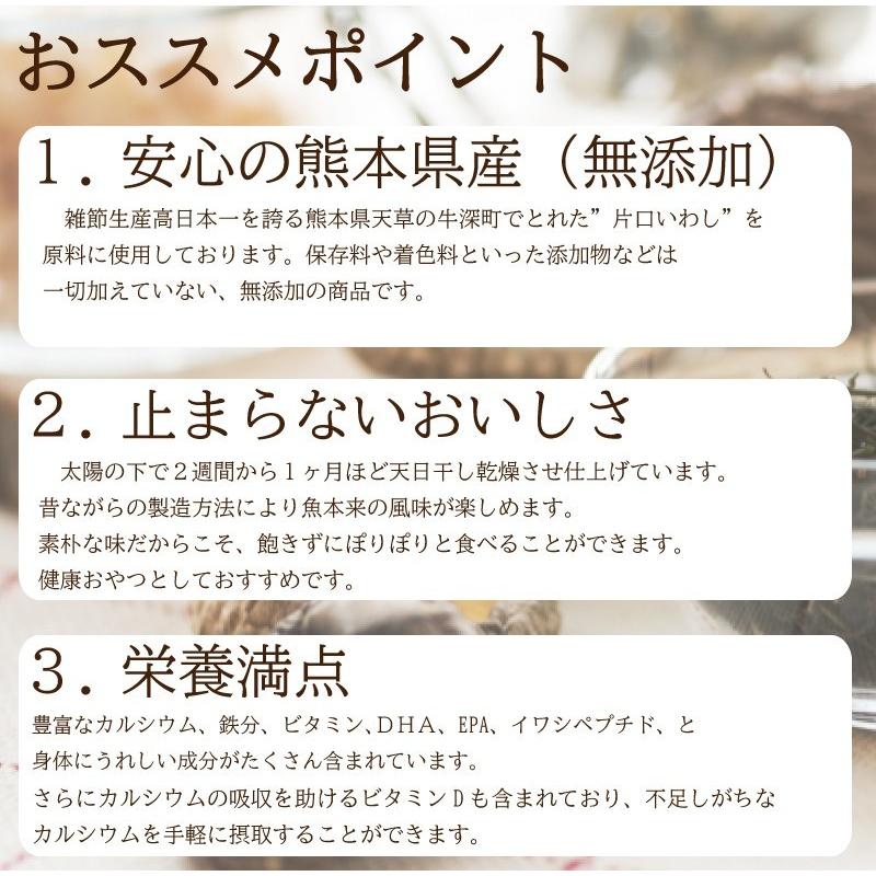 食べるいりこ 無添加 600g 熊本県天草産 煮干し いりこ おやつ 食べる煮干し 健康おやつ おつまみ　訳あり　訳アリ