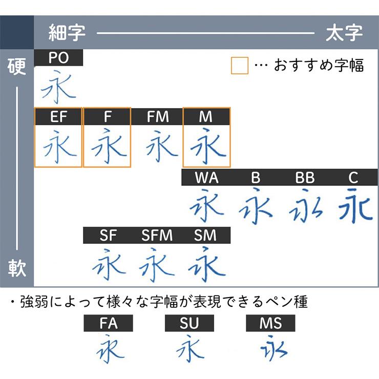 PILOT パイロット 万年筆 エラボー レッド FE-25SR-R（ペン種 要選択 SEF・SF・SM・SB） ペン先コントロールプレート：14K ロジウム仕上 彫刻名