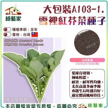 【綠藝家】大包裝A103-1.雪裡紅芥菜種子150克(約78000顆) 辣味濃郁 耐暑 耐寒 適合鹽漬醃漬加