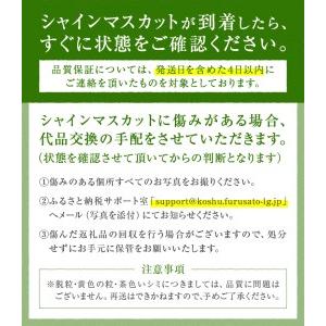 ふるさと納税 山梨の自然が産んだスイートエメラルド 甲州市産シャインマスカット1.2kg 2〜3房（UD）B-865 山梨県甲州市