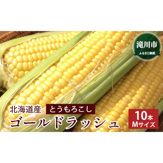 ふるさと納税 北海道 滝川市 北海道産 とうもろこし ゴールドラッシュ 10本(Mサイズ)＜2024年8月上旬〜順次出荷＞｜北海道 滝川市 とうきび トウモロコシ 2024…