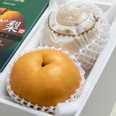 ふるさと納税 井原市 あたご梨2玉(1.1kg×2玉)化粧箱