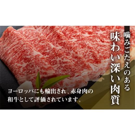 ふるさと納税 岐阜県 飛騨市 飛騨産黒毛和牛 飛米牛 サーロイン ステーキ 200g×2 牛肉 肉 和牛 冷凍 ギフト