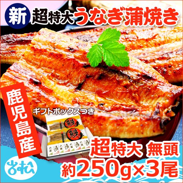 鹿児島産 新 超特大 国産 うなぎ蒲焼き 約250g×3尾 送料無料 ギフトボックス付 海鮮 プレゼント グルメ ギフト