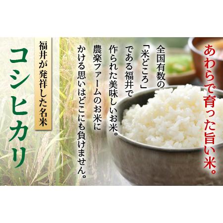 ふるさと納税 《定期便6回》いっちょらい 無洗米 5kg（計30kg） ／ 福井県産 ブランド米 コシヒカリ ご飯 白米 新鮮 大賞 受賞 .. 福井県あわら市