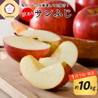 りんご約10kgサンふじ青森産