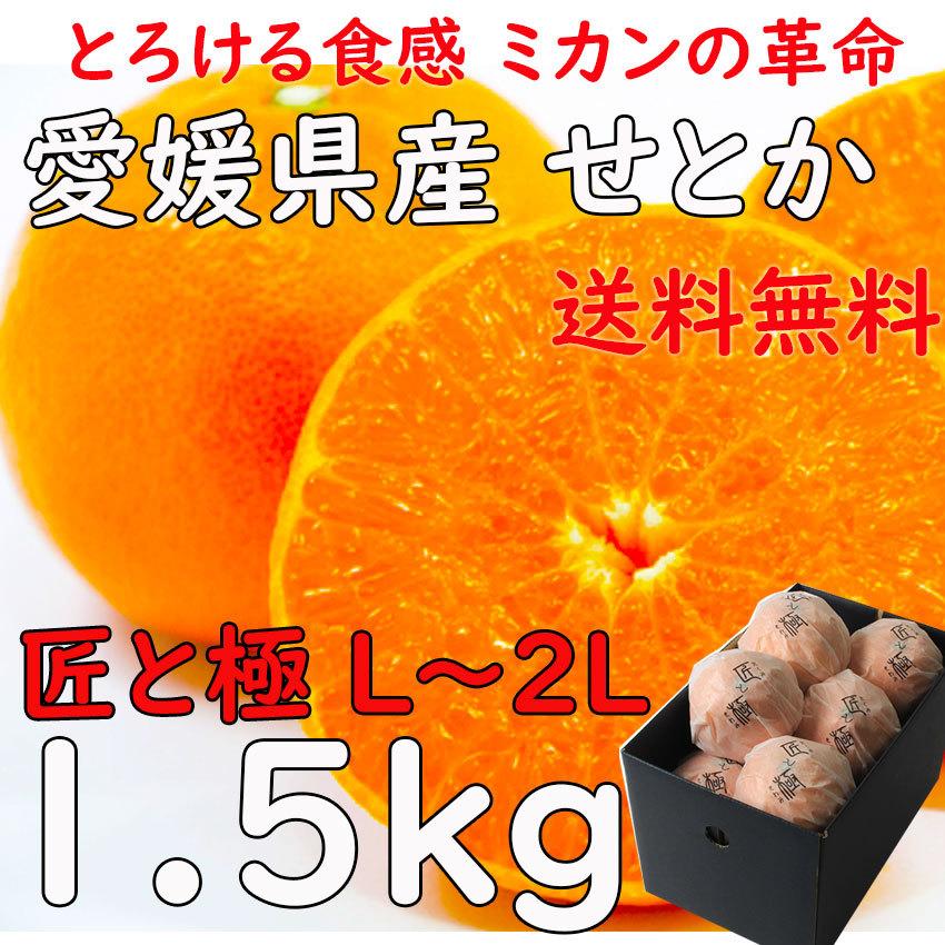 せとか  愛媛県産 匠と極 Ｌ〜2Lサイズ みかん 送料無料 農協品 光センサー 贈答用 プレゼント 1.5ｋｇ お見舞い 御供 化粧箱 指定日OK 日付指定OK