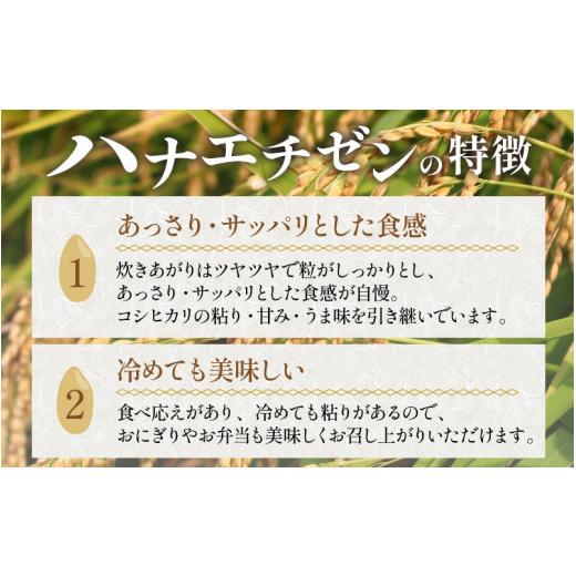 ふるさと納税 福井県 あわら市 《定期便》5kg×12回 60kg 特別栽培米 ハナエチゼン 無洗米 低農薬 《食味値85点以上！こだわり極上無洗米》 ／ …