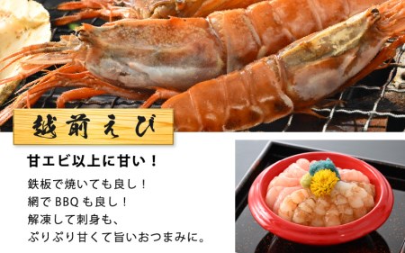 海鮮 BBQ おつまみセット「越前えび ＆ 片貝ほたて」約4～5人前（越前えび500g 片貝ほたて10枚） [e04-a063]