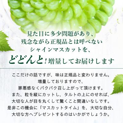 ふるさと納税 山梨市 シャインマスカット 3〜4房 1.5〜2kg