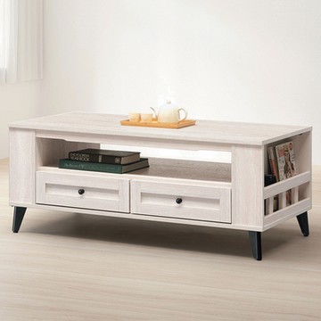 【綠活居】蒙特維  時尚4尺二抽大茶几-120x60x49cm免組