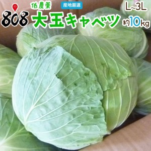 低農薬 大玉キャベツ 1箱 Ｌ～3Ｌサイズ 約10kg以上(北海道沖縄別途送料加算)きゃべつ 千切り 業務 種 苗 やみ