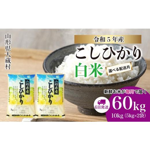 ふるさと納税 山形県 大蔵村 令和5年産 大蔵村 コシヒカリ  定期便 60kg （10kg×1か月間隔で6回お届け）