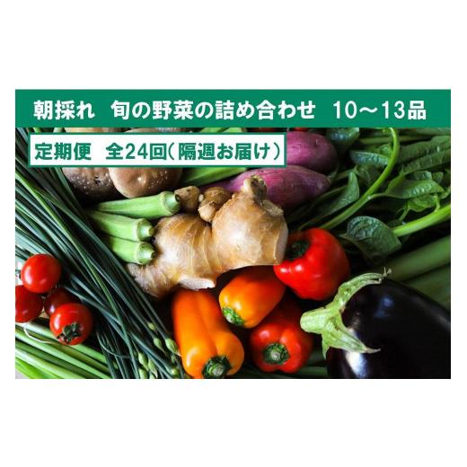 ふるさと納税 高知県 南国市 『定期便 全24回』朝採れ旬の野菜の詰め合わせ