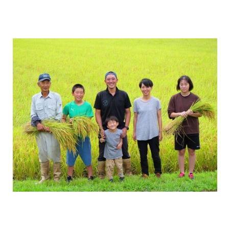 ふるさと納税 令和5年産南魚沼産コシヒカリ~特別栽培米~（5ｋｇ×12回） 新潟県南魚沼市