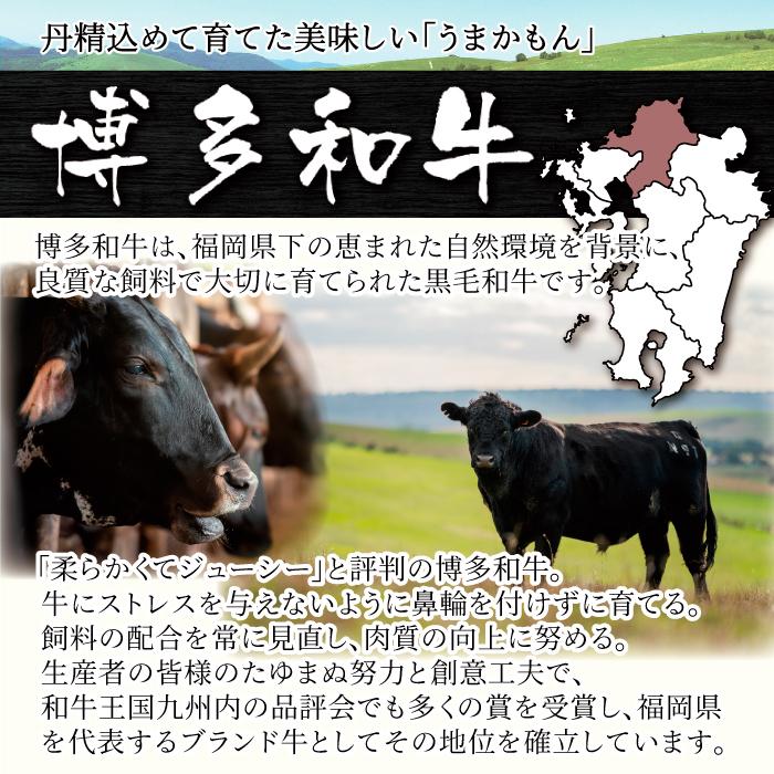 博多和牛 ロース 切り落とし 400g すきやき 肉じゃが 焼肉 牛丼 A4 A5 黒毛和牛 ギフト 贈り物 プレゼント 贈答 内祝 御中元 お歳暮