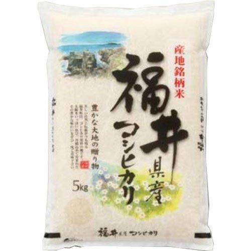 新米 令和5年産 福井産コシヒカリ 5kg 福井県 こしひかり (玄米のまま（5kg）)